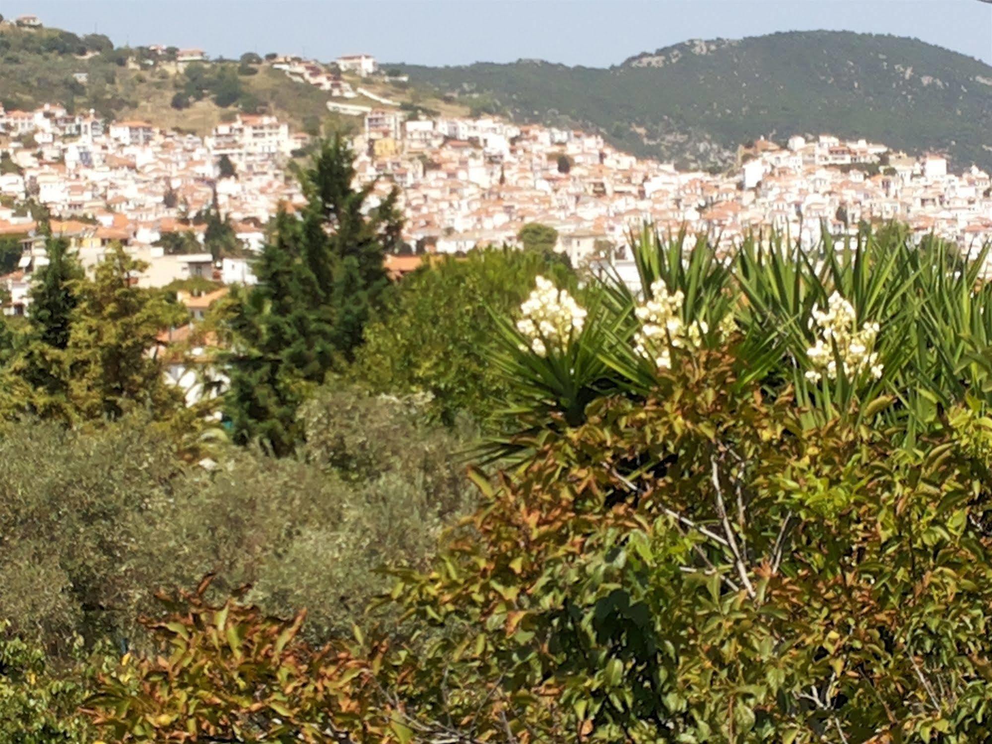 Rastoni Guest House Skopelos Exterior foto