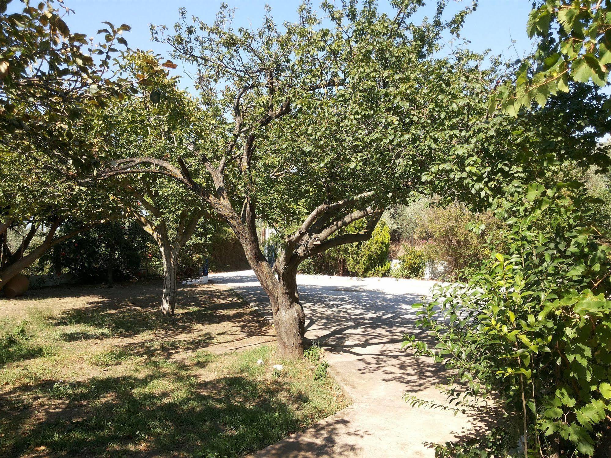 Rastoni Guest House Skopelos Exterior foto